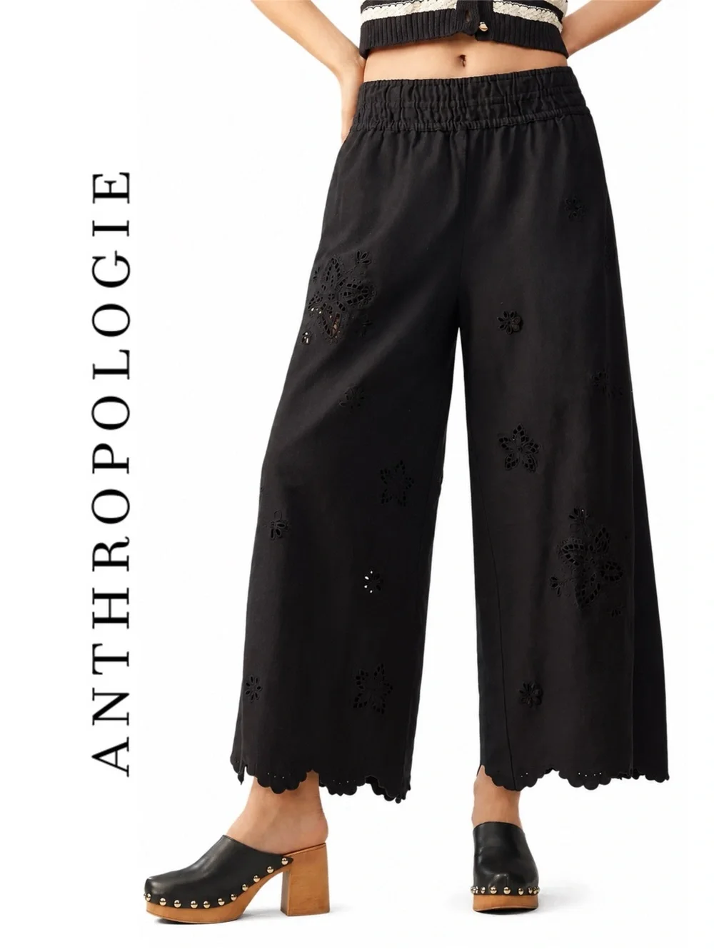 Anthropologie Somerset Crochet Pull-On Pants